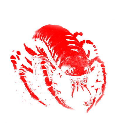 VERMINA